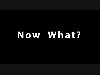 Graduate, NOW WHAT?