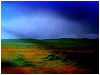 Saturated Landscape