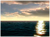 Ocean Serenity
