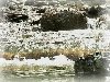 River-Moving Water Background