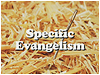 Specific Evangelism