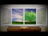 Diary of a Bible