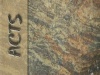 Acts