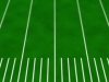 Gridiron HD Loop