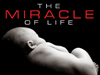 The Miracle of Life