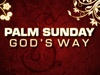 Palm Sunday - God's Way