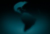 Blue Rotating Earth Background