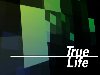 True Life Logo Loop