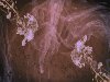 Flow Motion 2