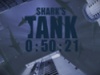 Sin and Temptation Living in the Shark's Tank Countdown