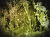 Green Grunge 2