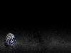 Blue Marble WIDESCREEN-John 3:16 Lower 3rd