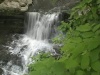 McCormick's Creek Waterfall Background Loop