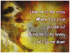 Lead Me To The Cross iWorship Flexx