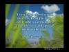 The Triumphal Entry