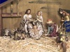 Christmas: Talking Nativity Animals 2