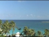 Tropical Background 2