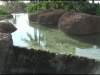 Tropical Background 3