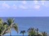 Tropical Background 1