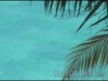 Tropical Background 10