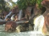 Waterfall Background 1