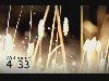 Welcome Countdown #5