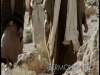 Bonus 2 - Jesus and the Blind Man