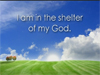 THE SHELTER