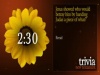 Trivia Countdown 06 of 10