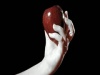 2717_Tempted_Series