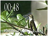 Matthew 6:26 Countdown