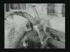 Sin...the loaded goat