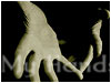 My Hands