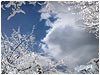 Christmas Clouds