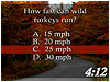 Thanksgiving Trivia Countdown