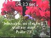 Psalm 23