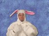 EASTER BUNNY PSA