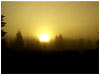 Foggy Sunrise
