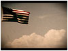Fondo: Bandera Americana 1