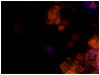 Orange Cubes