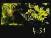 Countdown#12 Butterfly Background