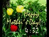 Mothers Day 5 min Tulip countdown CD50