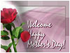 Mothers Day Welcome Long Loop w Bach