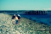 A Day at the Beach