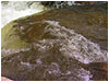 Graceful Streams 