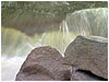 Motion River 