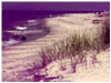 Shoreline