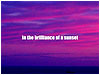 I Am With You