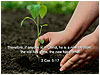 New Year's Quotes 