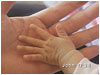 Father's Love Letter - English